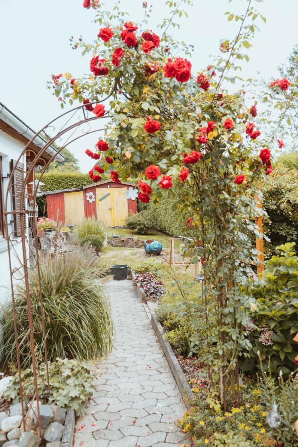 Ferienparadies Am Kammerberg - Ein Ganzes Haus Fuer Sie Alleine!!! Weißenhorn 외부 사진